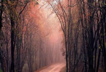 股票怎样在网上开户:杠杆指什么-比亚迪8月销量停滞不前 新势力交付量分化凸显纯电上升趋势